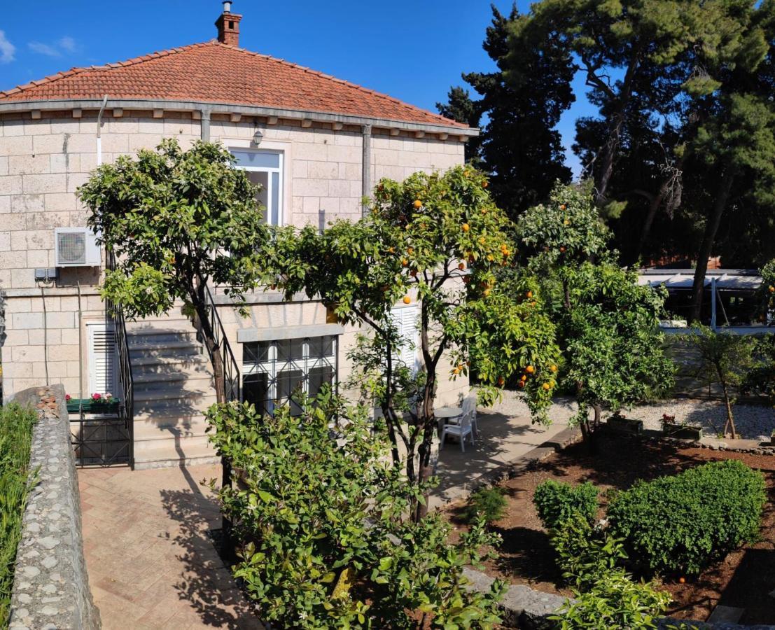 Villa Arancia Dubrovnik Exterior foto